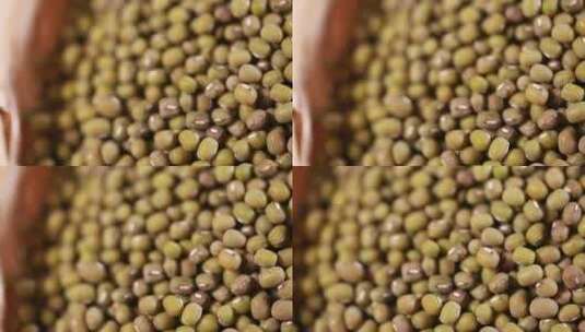 粗粮绿豆杂粮高清在线视频素材下载