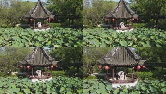 上海醉白池公园4K航拍原素材高清在线视频素材下载