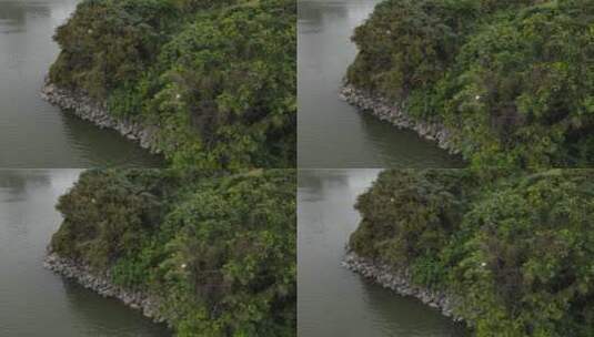 广东东江生态保护区航拍高清在线视频素材下载