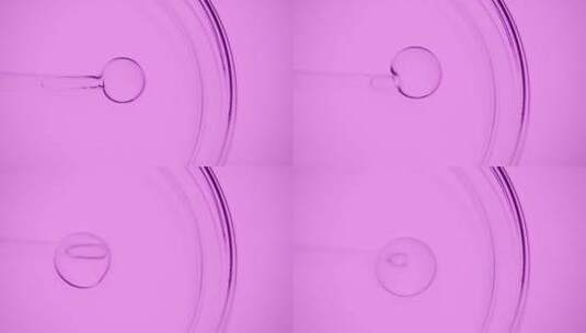 培养皿紫色美妆广告素材高清在线视频素材下载