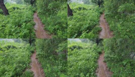 行走在下雨天泥泞的山间小路高清在线视频素材下载