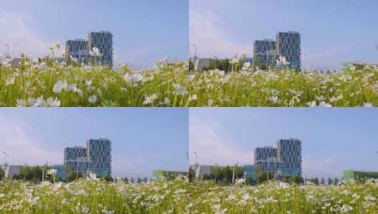 北京电影学院新校区4K视频高清在线视频素材下载