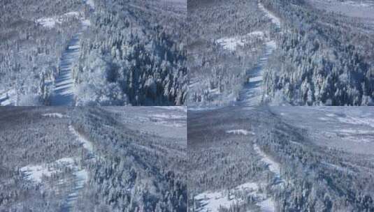 航拍白雪覆盖的森林高清在线视频素材下载