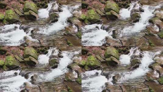 山间流淌的小溪 山涧小溪 自然风光高清在线视频素材下载