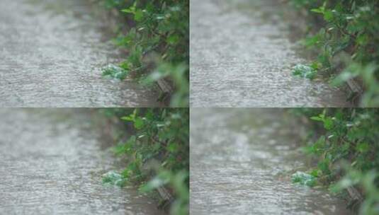 下雨暴雨高清在线视频素材下载