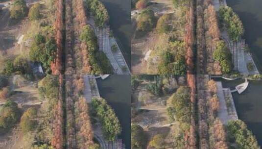 武汉后襄河公园秋景航拍高清在线视频素材下载
