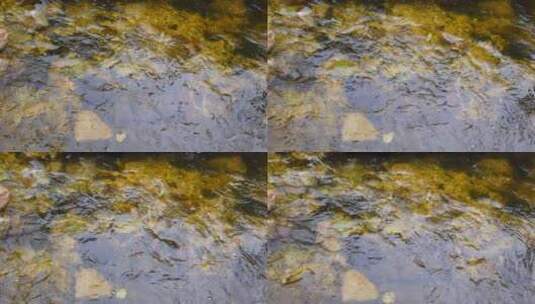 4k  户外山体公园湖泊溪流和流水自然风光高清在线视频素材下载