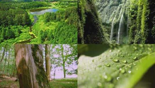森林中的瀑布小溪美景高清在线视频素材下载