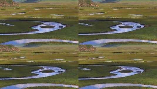 阿坝曼扎塘草原湿地蓝天牦牛草原高清在线视频素材下载