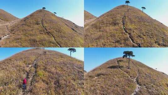 徒步登山探险户外草甸武功山高清在线视频素材下载