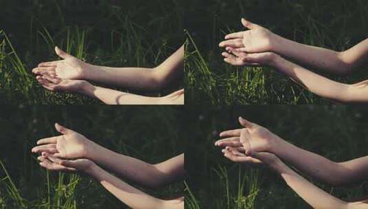 阳光下草丛里少女手臂高清在线视频素材下载