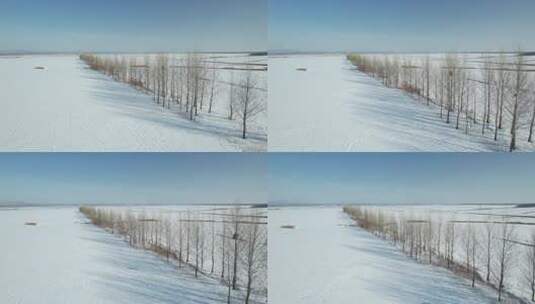 黑龙江五大连池平原雪原自然风光高清在线视频素材下载