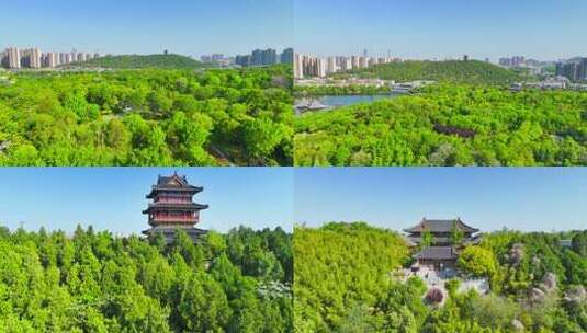 徐州竹林寺 汉文化景区合集高清在线视频素材下载