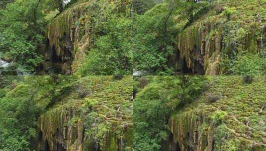 云南香格里拉普达措国家公园彩虹瀑布溪谷高清在线视频素材下载