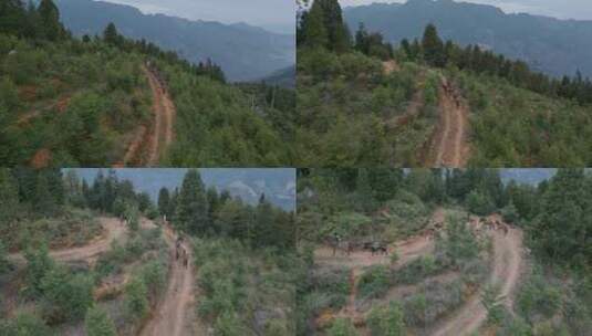 云南山区树林蜿蜒土路马帮高清在线视频素材下载
