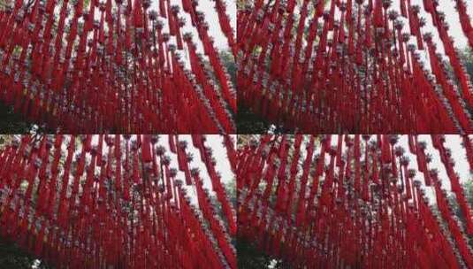 杭州灵隐寺 阳光穿透祈福红丝带高清在线视频素材下载