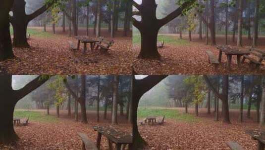 秋天森林里的落叶和木头长椅高清在线视频素材下载
