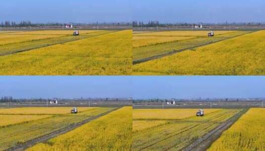 江南稻子丰收稻田收割机工作空镜高清在线视频素材下载