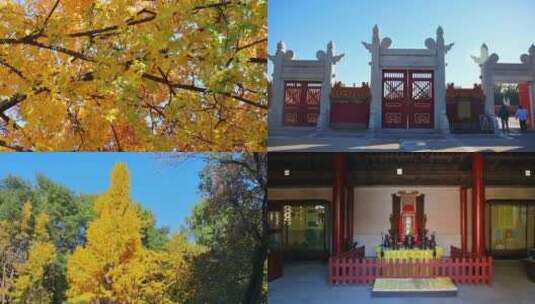北京地坛公园合集视频素材高清在线视频素材下载
