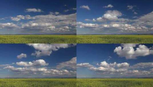 蓝天白云和绿色的田野高清在线视频素材下载