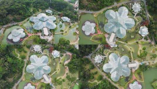 广州华南植物园高清在线视频素材下载