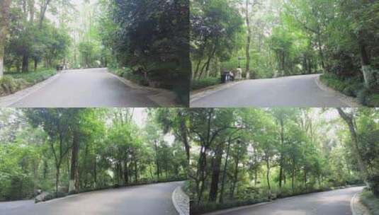 风景景区的树林小道路高清在线视频素材下载