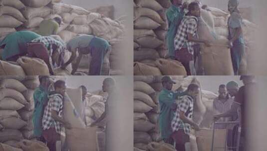 非洲埃塞俄比亚咖啡制作工厂高清在线视频素材下载