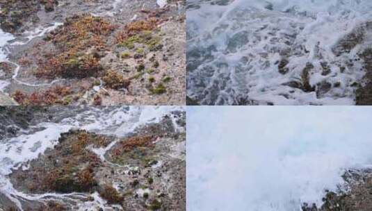 早晨大海海浪浪花拍打礁石升格慢动作高清在线视频素材下载