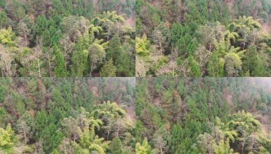 秋冬野外山林航拍高清在线视频素材下载