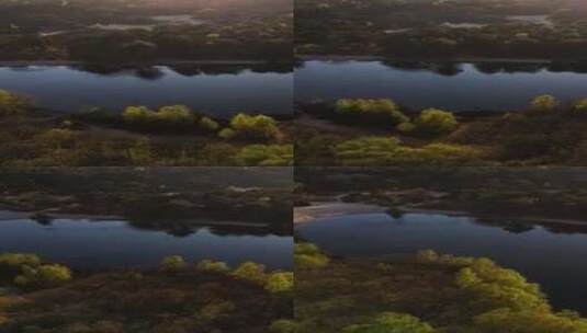特写夕阳下的森林湖泊高清在线视频素材下载