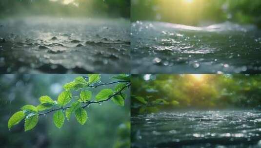 树叶子下雨天雨水水滴雨季ai素材原创户外高清在线视频素材下载