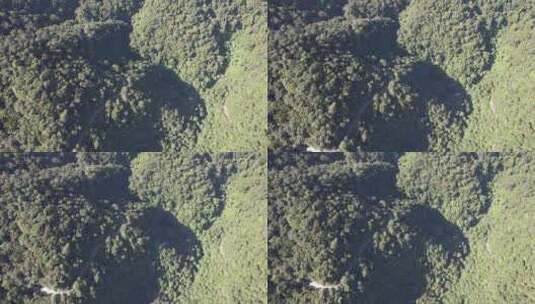 俯拍绿色植物森林天然氧吧鼎湖山航拍高清在线视频素材下载