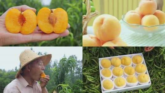 黄毛桃 砀山黄桃 黄金蜜桃高清在线视频素材下载