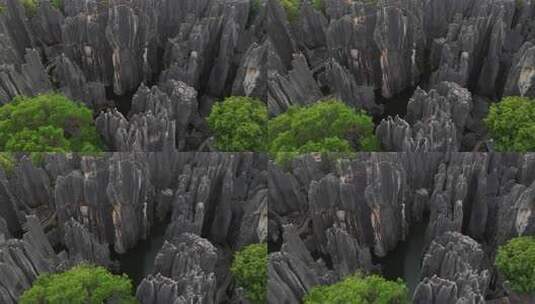 云南昆明石林县石林风景区航拍地质风光高清在线视频素材下载