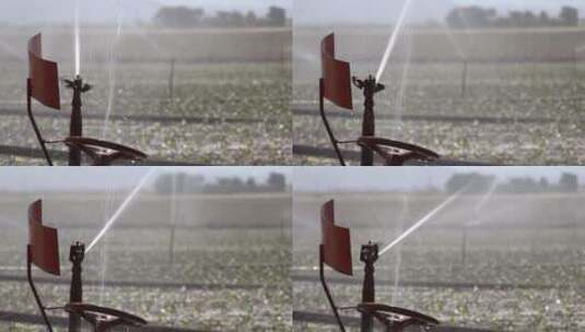 洒水器灌溉的农田高清在线视频素材下载