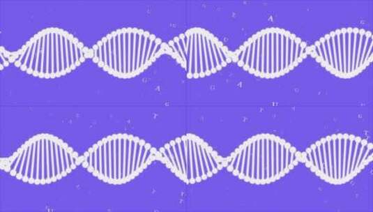 DNA序列视频高清在线视频素材下载