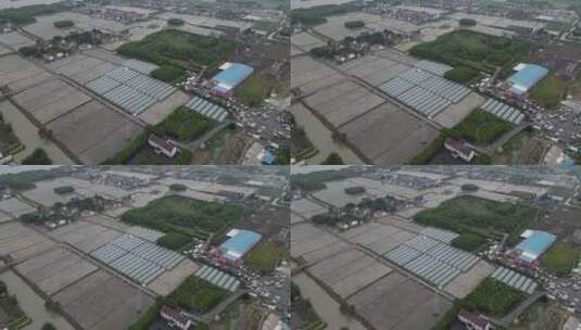 上海浦江镇农村农业生产种植农田灌溉4K航拍高清在线视频素材下载