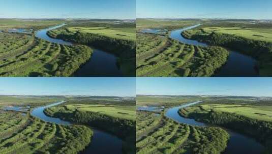 航拍湿地河湾丛林景观高清在线视频素材下载