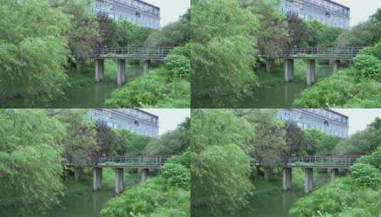 武汉龟山月湖风景区高清在线视频素材下载