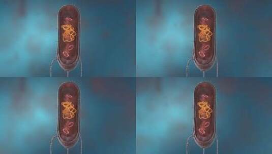 细菌真菌细胞微生物显微镜下病菌形态高清在线视频素材下载