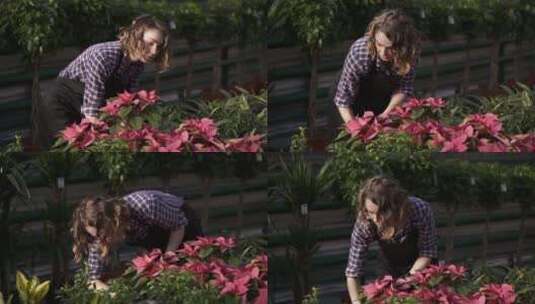 女园丁在花园里照看花卉高清在线视频素材下载