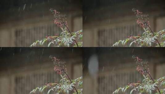 江南雨季下雨情绪意境空境素材高清在线视频素材下载