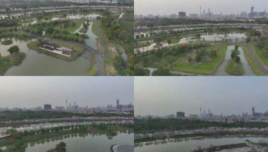 广州海珠国家湿地公园高清在线视频素材下载
