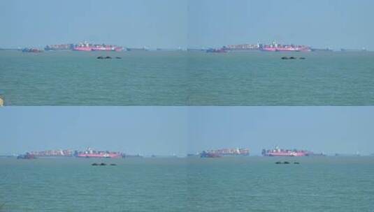 福建厦门港进出港的集装箱货轮高清在线视频素材下载