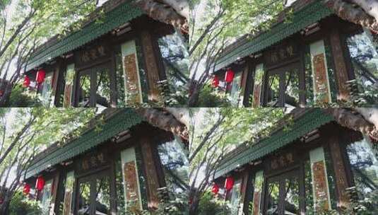四合院建筑历史文化北京树木建筑高清在线视频素材下载