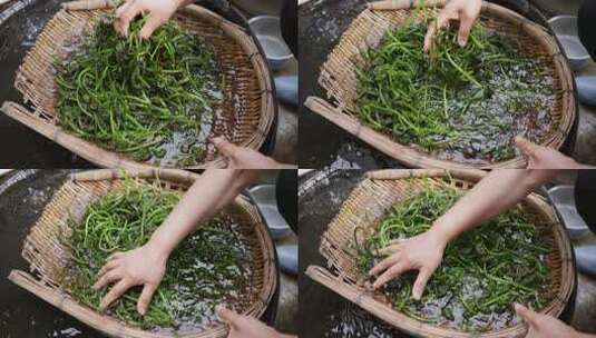 洗新鲜的蕨菜高清在线视频素材下载
