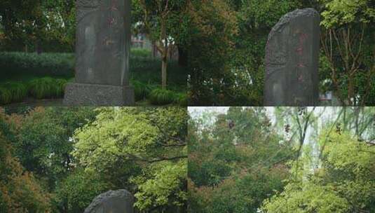 杭州钱王祠春天清明节雨天古建筑自然唯美高清在线视频素材下载