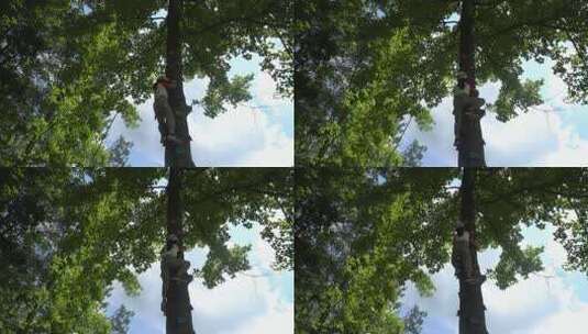 小女孩娴熟的爬上了一棵大树高清在线视频素材下载