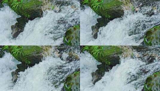 水青苔山泉水流水滴水风景森林自然大自然水高清在线视频素材下载