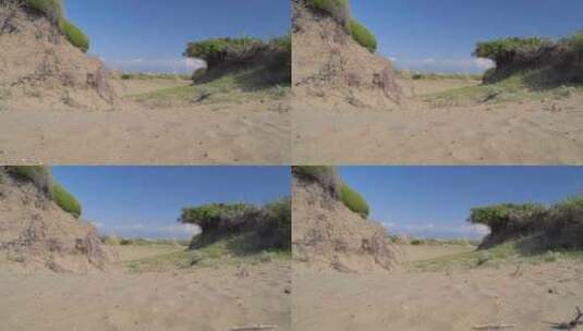 植物的根支撑着沙子高清在线视频素材下载